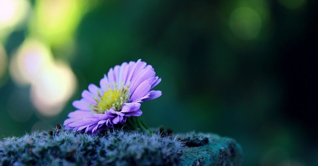 Essere sottovalutati